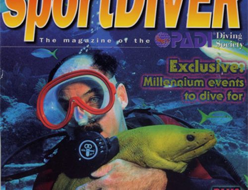 Skye High Diving, Sportsdiver, by Somon Volpe, Dec 1999,